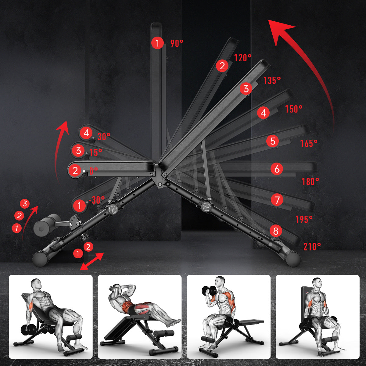 JOROTO MD35 Banc de Muscu Réglable – 8 Dossiers & Pieds